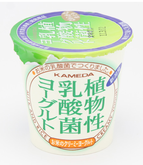 塚田牛乳　植物性乳酸菌ヨーグルト　120g